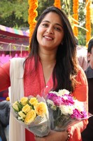 Anushka New Film Opening